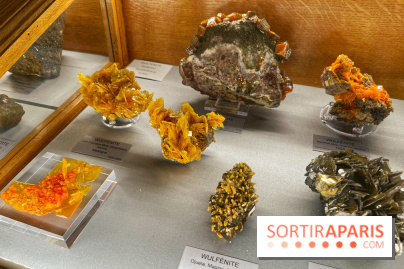 Musée de Minéralogie - IMG 5867