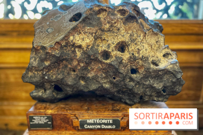 Musée de Minéralogie - météorite