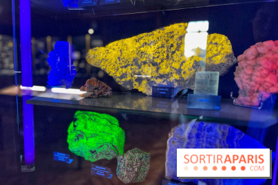 Musée de Minéralogie - IMG 5883