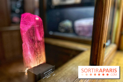 Musée de Minéralogie - IMG 5885