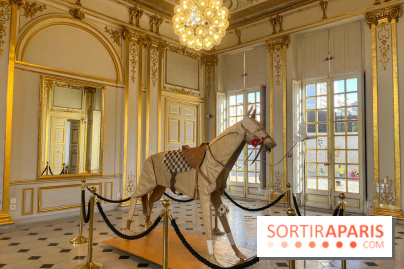 La faune en plis - nos photos - image00030