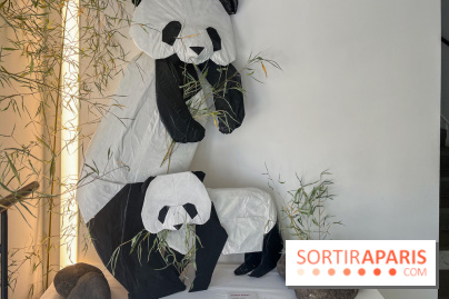 La faune en plis - nos photos - image00021