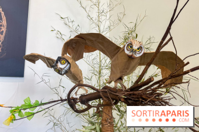 La faune en plis - nos photos - image00022