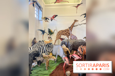 La faune en plis - nos photos - image00024