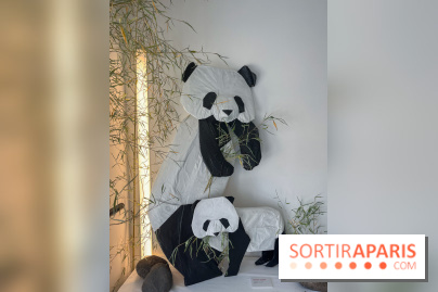 La faune en plis - nos photos - image00020