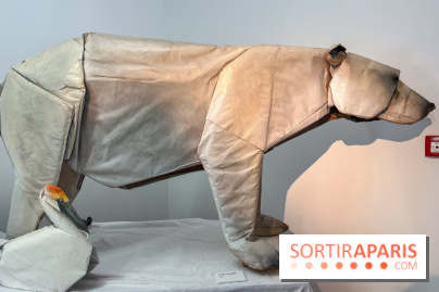 La faune en plis - nos photos - image00017