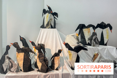 La faune en plis - nos photos - image00018