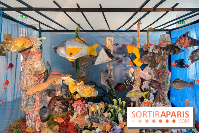 La faune en plis - nos photos - image00014