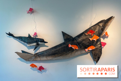 La faune en plis - nos photos - image00015