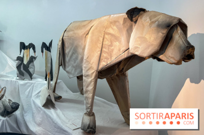 La faune en plis - nos photos - image00016