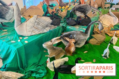 La faune en plis - nos photos - image00009