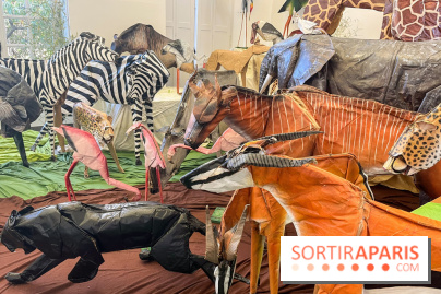 La faune en plis - nos photos - image00002