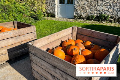 La Fête de la Citrouille - nos photos - image00031