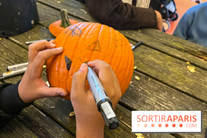 La Fête de la Citrouille - nos photos - image00028