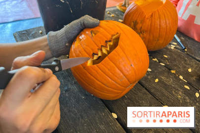 La Fête de la Citrouille - nos photos - image00023