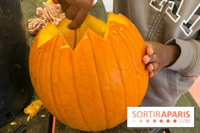 La Fête de la Citrouille - nos photos - image00024