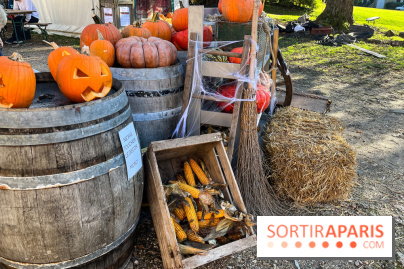 La Fête de la Citrouille - nos photos - image00021