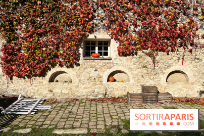 La Fête de la Citrouille - nos photos - image00022