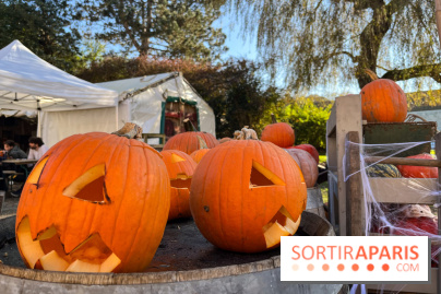 La Fête de la Citrouille - nos photos - image00017