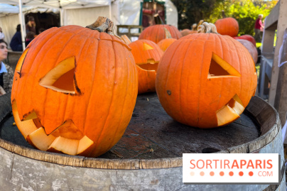 La Fête de la Citrouille - nos photos - image00018