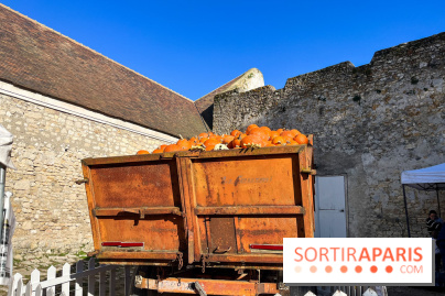 La Fête de la Citrouille - nos photos - image00019