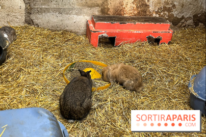 La Fête de la Citrouille - nos photos - image00015