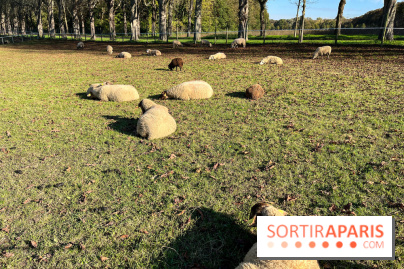 La Fête de la Citrouille - nos photos - image00012