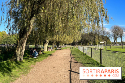 La Fête de la Citrouille - nos photos - image00014