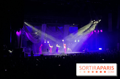 Concert de Lindsey Stirling  - IMG 6021