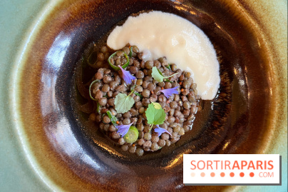 Maison Brut Paris - Lentilles vertes, oignon doux