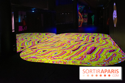 Pixels au Grand Palais Immersif : nos photos de l'exposition qui mêle art numérique et IA - DSC 2011