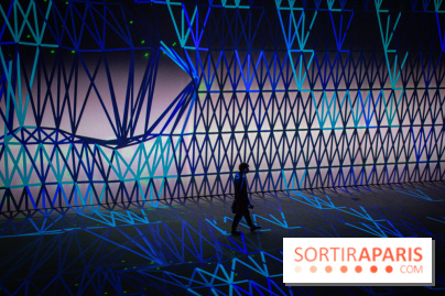 Pixels au Grand Palais Immersif : nos photos de l'exposition qui mêle art numérique et IA - DSC 2036