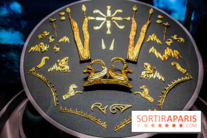 Kazakhstan, les trésors de la grande steppe au musée Guimet, nos photos - IMG 6601