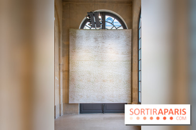 Exposition Les Cimes de l’Asphalte de Duy Anh Nhan Duc à l’Espace Richaud - DSC 2046