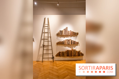 Exposition Les Cimes de l’Asphalte de Duy Anh Nhan Duc à l’Espace Richaud - DSC 2048