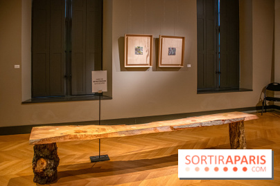 Exposition Les Cimes de l’Asphalte de Duy Anh Nhan Duc à l’Espace Richaud - DSC 2049