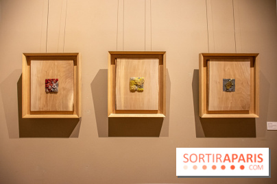 Exposition Les Cimes de l’Asphalte de Duy Anh Nhan Duc à l’Espace Richaud - DSC 2053