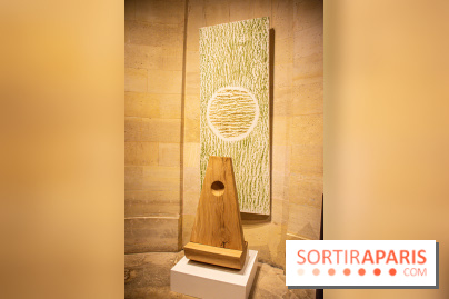 Exposition Les Cimes de l’Asphalte de Duy Anh Nhan Duc à l’Espace Richaud - DSC 2065