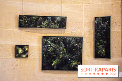 Exposition Les Cimes de l’Asphalte de Duy Anh Nhan Duc à l’Espace Richaud - DSC 2075