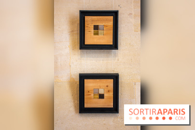 Exposition Les Cimes de l’Asphalte de Duy Anh Nhan Duc à l’Espace Richaud - DSC 2076