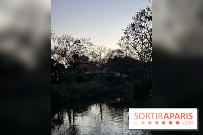 Disneyland Paris Halloween 2024 - IMG 4683