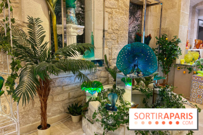 Entre mets et mots - IMG 6306