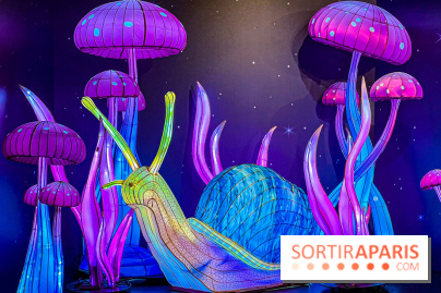 Les vitrines de Noël 2024 de la Samaritaine : Thoiry Lumières Sauvages envahit le grand magasin - Les vitrines de Noël 2024 de la Samaritaine : Thoiry Lumières Sauvages envahit le grand magasin   image00023   1125738