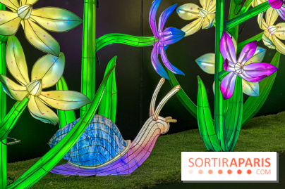 Les vitrines de Noël 2024 de la Samaritaine : Thoiry Lumières Sauvages envahit le grand magasin - Les vitrines de Noël 2024 de la Samaritaine : Thoiry Lumières Sauvages envahit le grand magasin 1125745