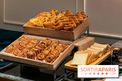 Le Doggy Brunch : le brunch gourmand entre chiens et maîtres à l'hôtel Kimpton Saint Honoré Paris - image00015
