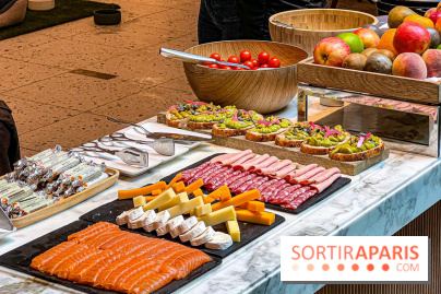 Le Doggy Brunch : le brunch gourmand entre chiens et maîtres à l'hôtel Kimpton Saint Honoré Paris - image00025