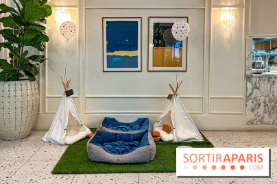 Le Doggy Brunch : le brunch gourmand entre chiens et maîtres à l'hôtel Kimpton Saint Honoré Paris - image00029