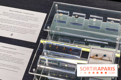 L'exposition gratuite des bijoux de la Maison de Haute-Joaillerie Vever rue de la Paix, à Paris  - image00027