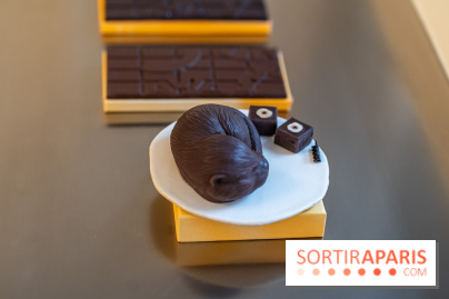 La chocolaterie William Artigue et ses chocolats de Noël 2024 -  A7C5856