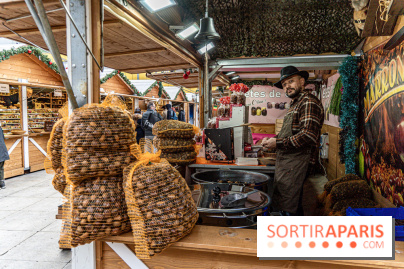 Le Marché de Noël géant de La Défense 2024 -  A7C6504